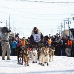 Finish line for Iditarod dog sled race near Nome